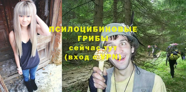 спайс Аркадак