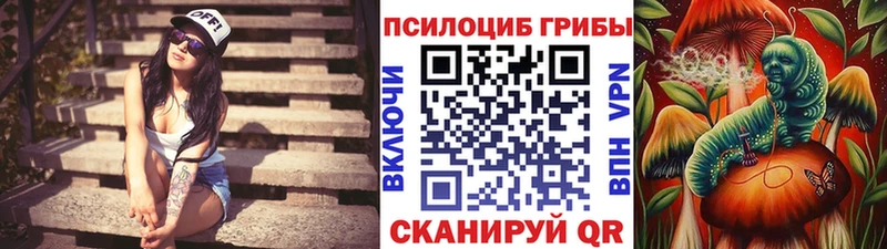 Псилоцибиновые грибы MAGIC MUSHROOMS  купить наркотики цена  Любань 