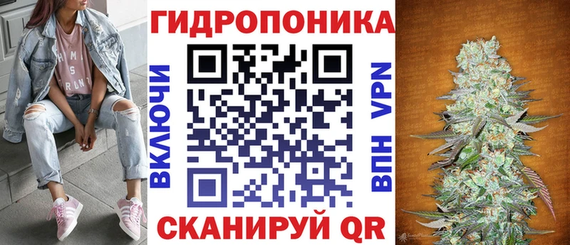 Конопля сатива  Любань 